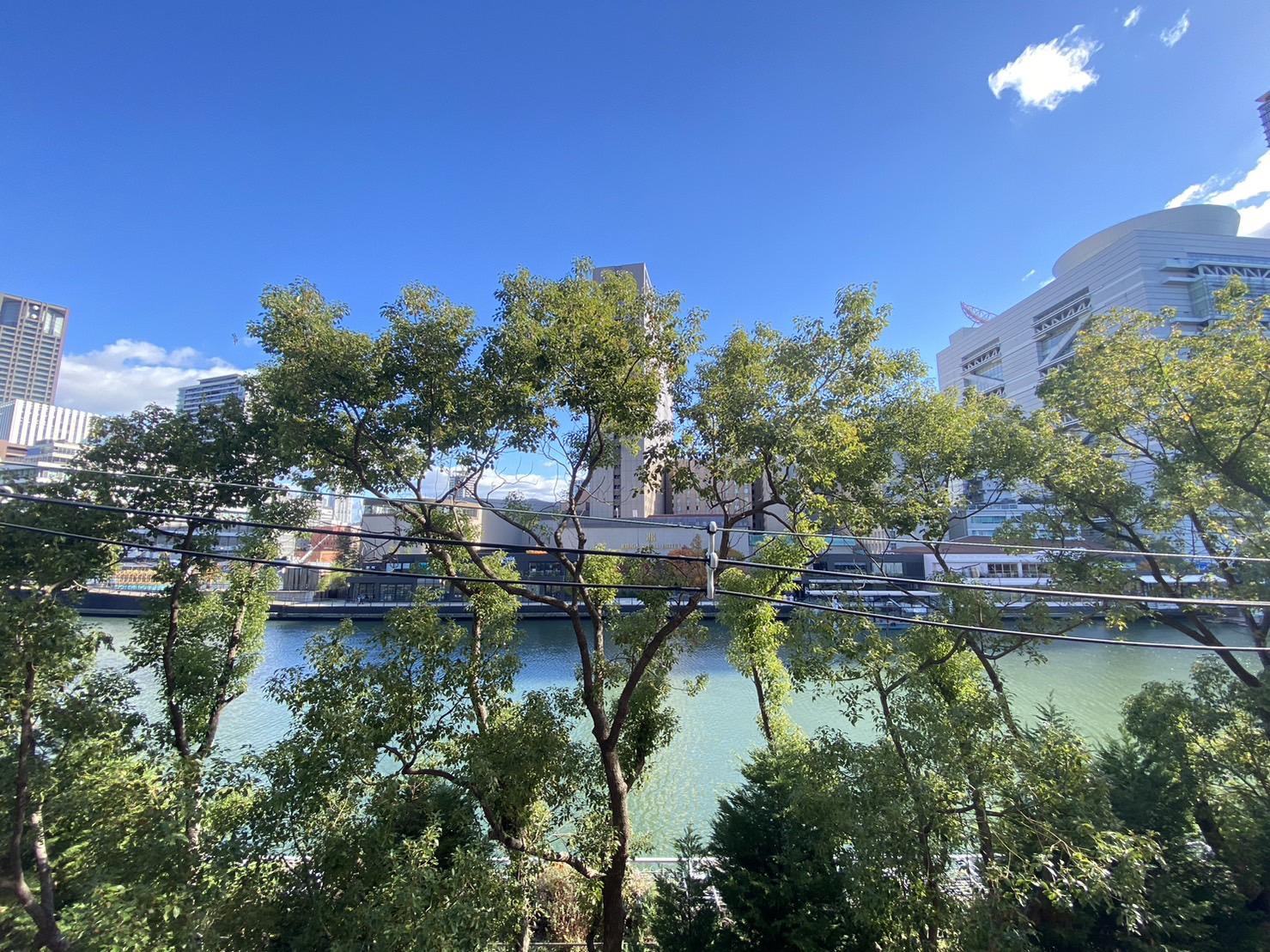 インペリアル堂島_4