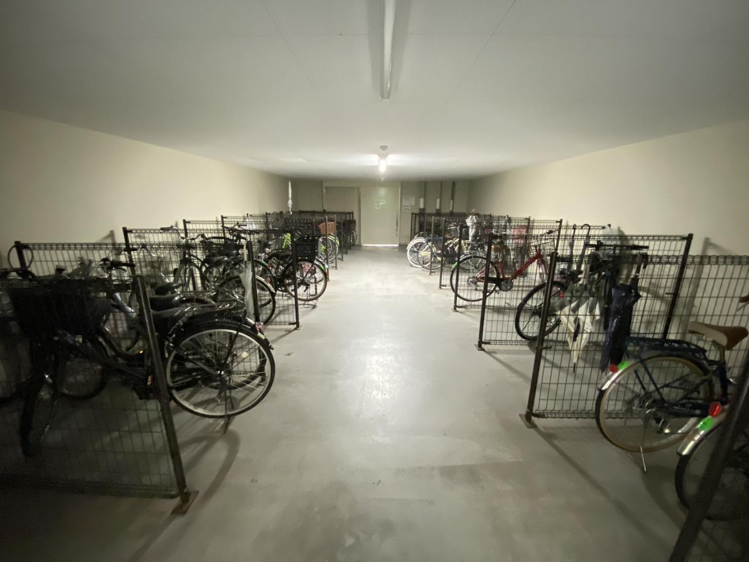 タイムズ・ピース・スクエア_20